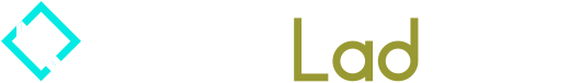 VdomaLad Logo